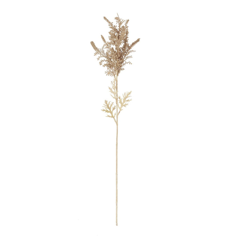 Astilbe Bleached Faux Botanical