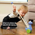 Diplodocus Push Along Toy