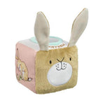 Guess How Much I Love You Activity Cube