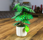 Monstera Cheese Plant - Paper Craft Kit