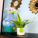 Boston Fern - Paper Craft Kit