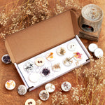Selection Box of 10 Wax Melts