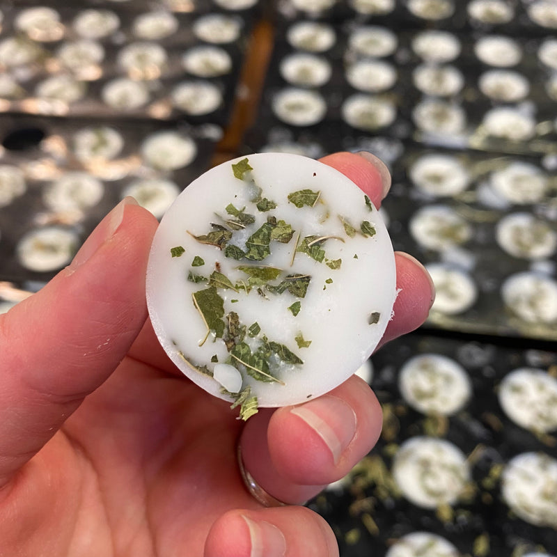 Individual Wax Melt
