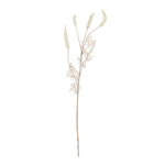 Phalaris Bleached Faux Botanical