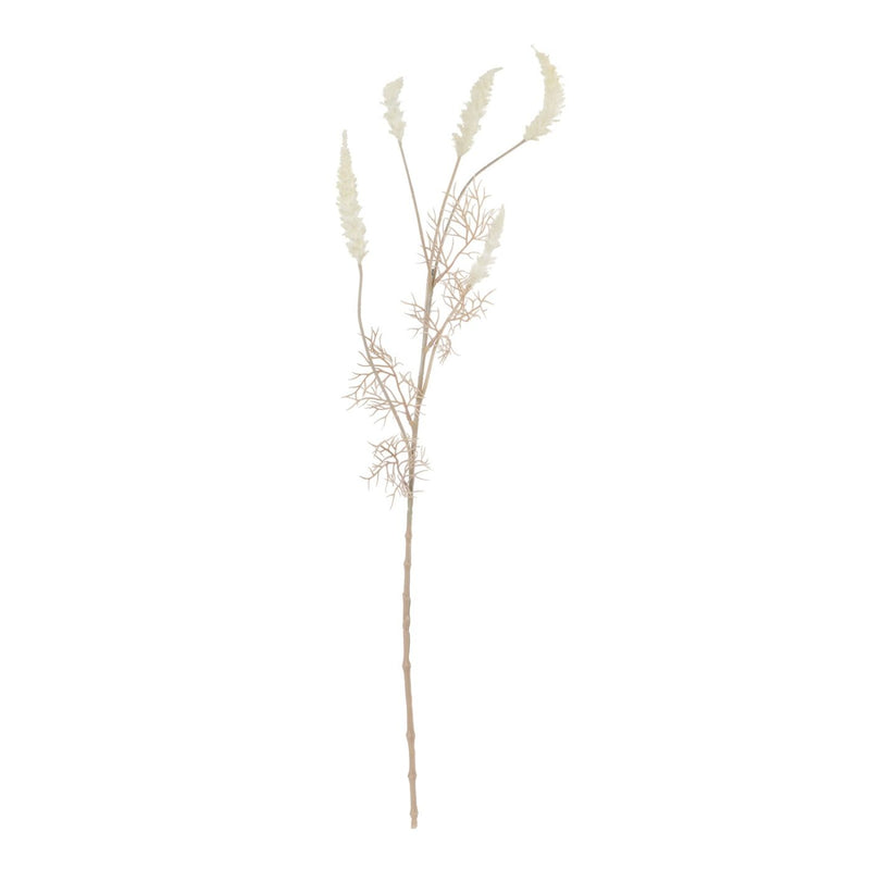 Phalaris Bleached Faux Botanical