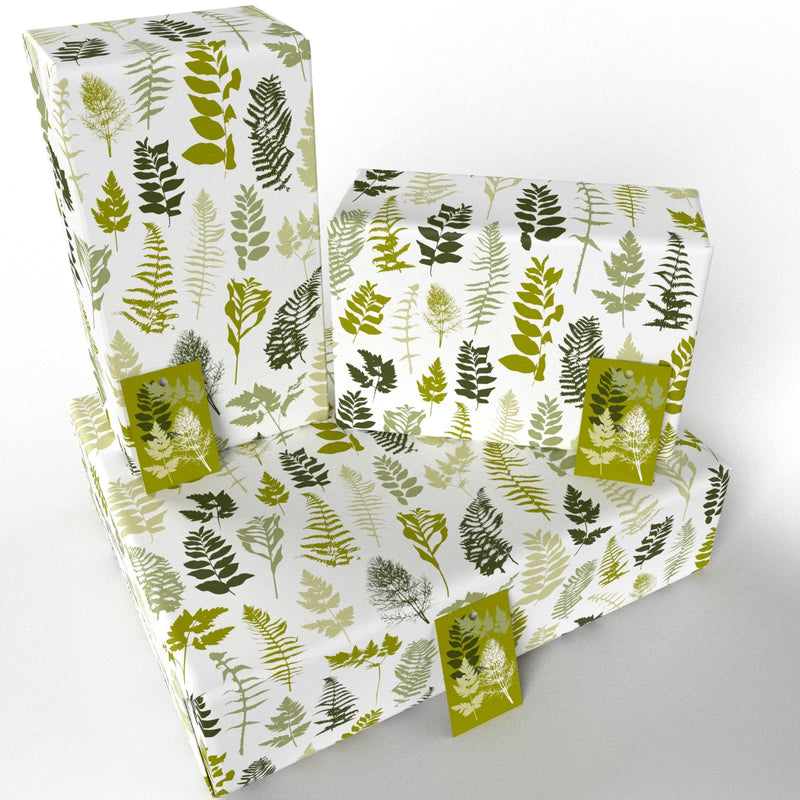 House Ferns Wrapping Paper