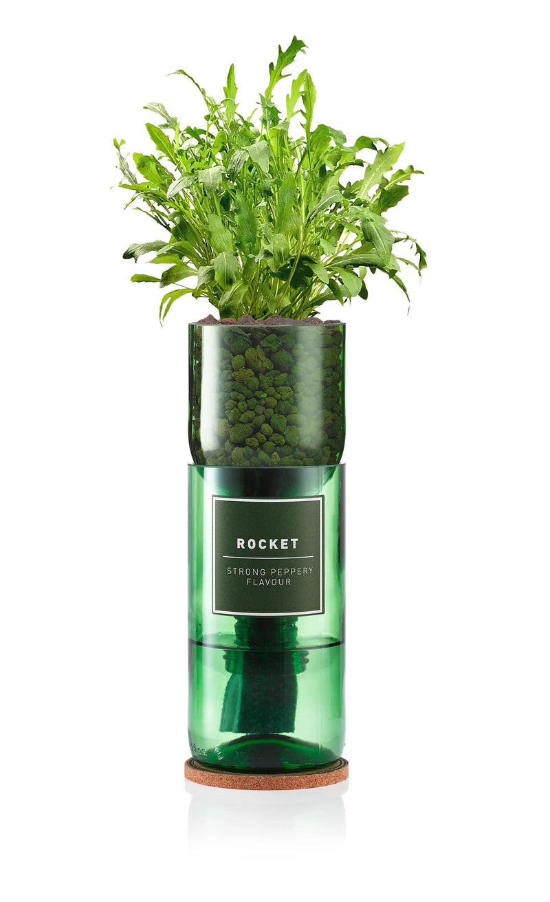 Rocket Hydro-herb kit