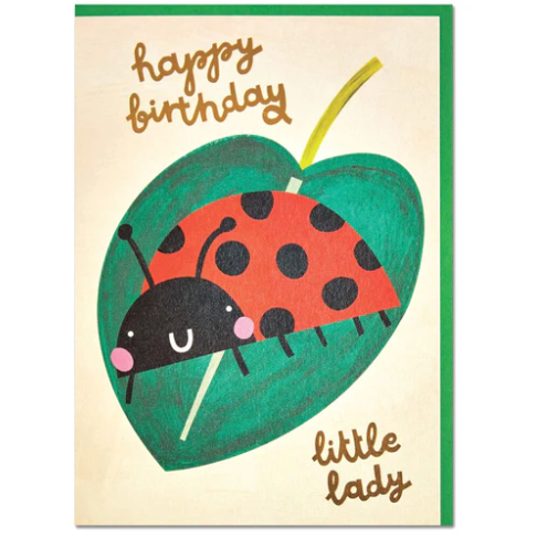 Happy Birthday little lady' Ladybird Card