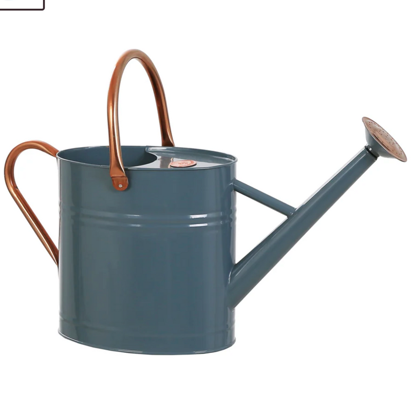 6L Blue Watering Can