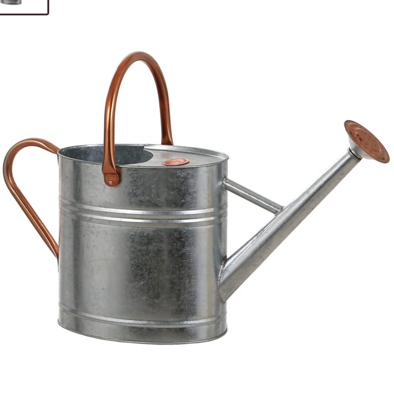 6L Galvanised Watering Can