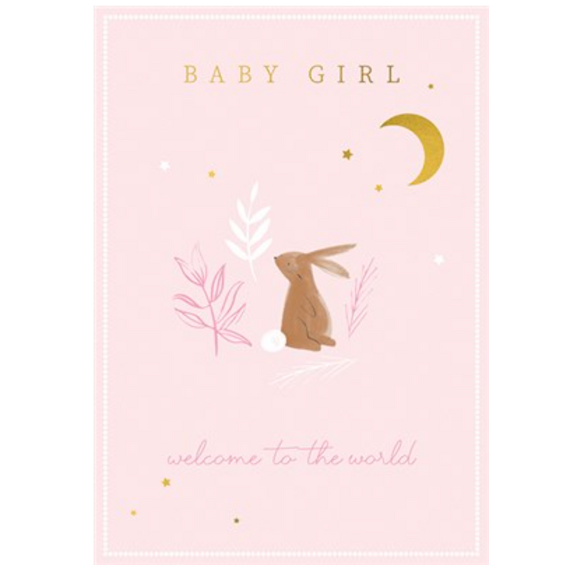 Baby Girl Welcome To the World Card