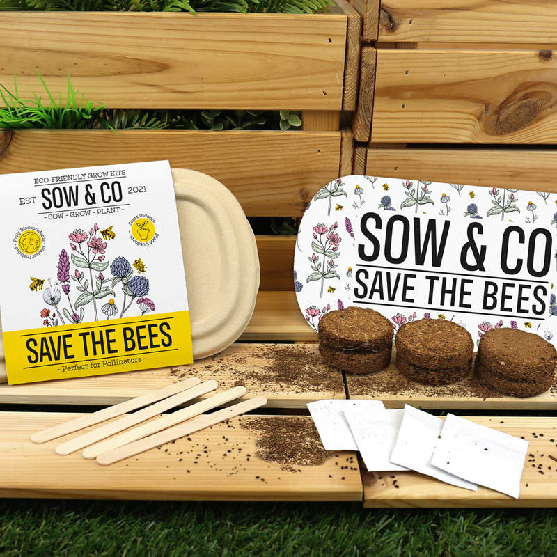 SOW & CO - Save the Bees