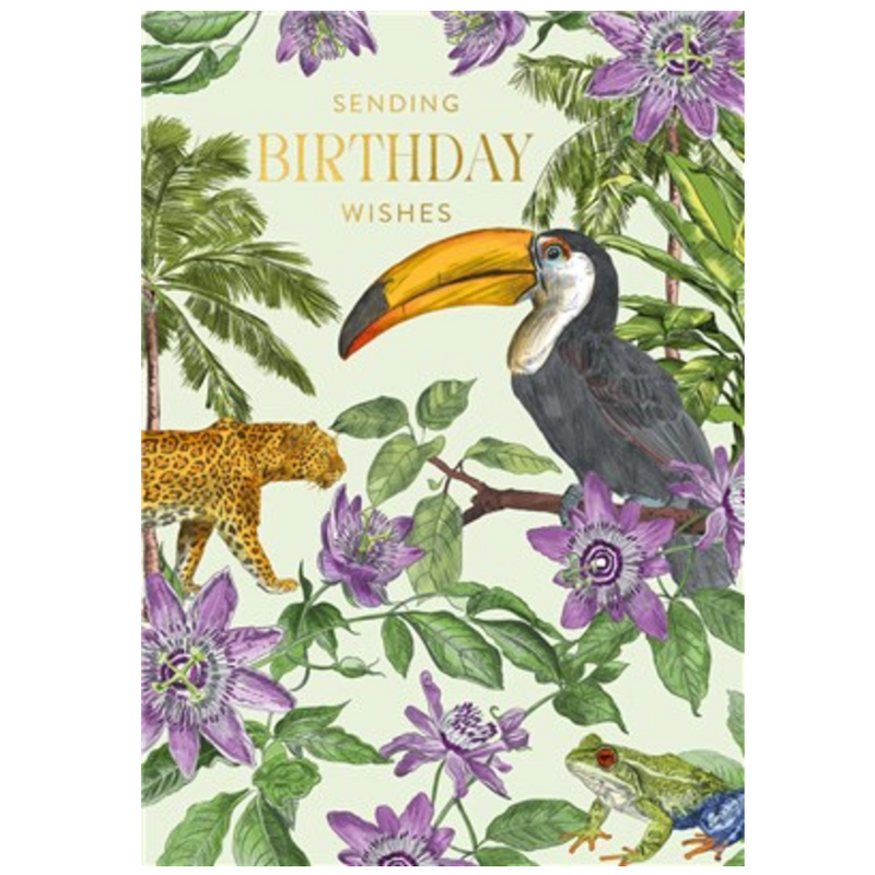 Toucan Birthday Wishes Card