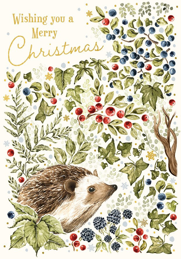 Hedgehog Christmas Card