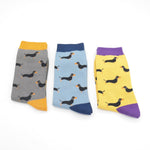 Sausage Dogs Socks Gift Box