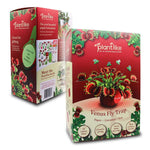 The Venus Fly Trap - Paper Craft Kit