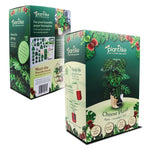 Monstera Cheese Plant - Paper Craft Kit