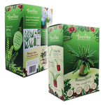 Boston Fern - Paper Craft Kit