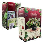The Prayer Plant - Paper Craft Kit