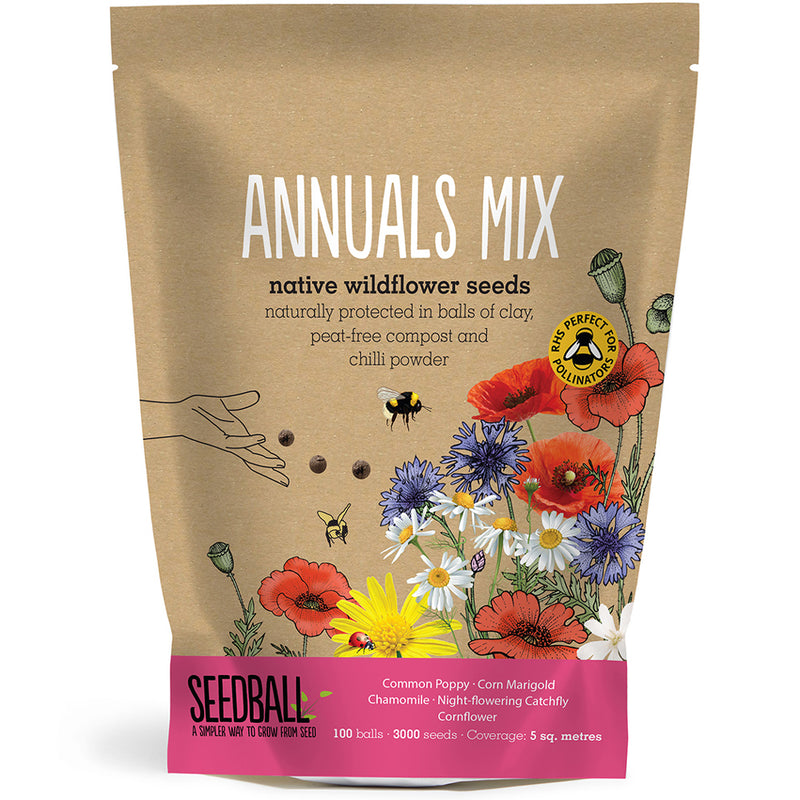 Annuals Mix Wildflower Seedball Grab Bag