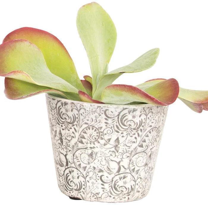 Vintage Grey Floral Pot 10cm