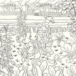 Beatrix Potter Colouring Book