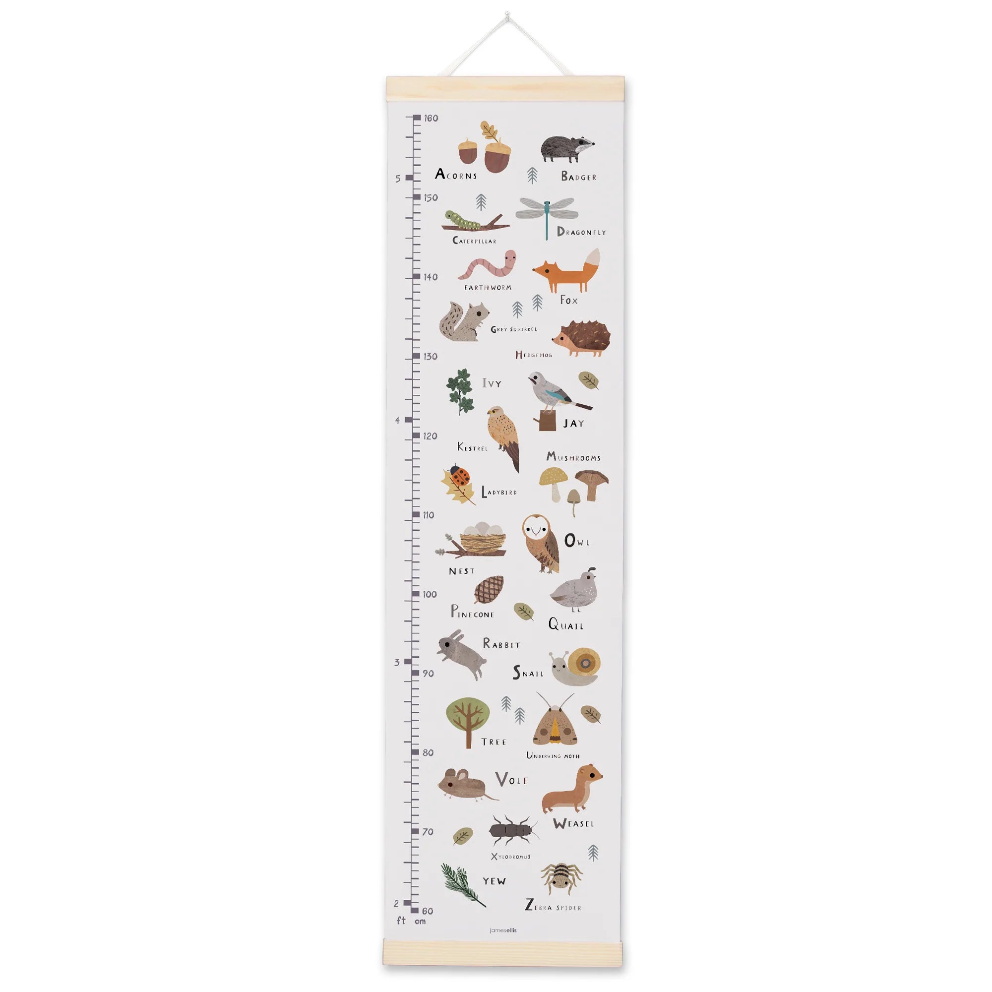 Woodland Alphabet Height Chart – Fig & Fox