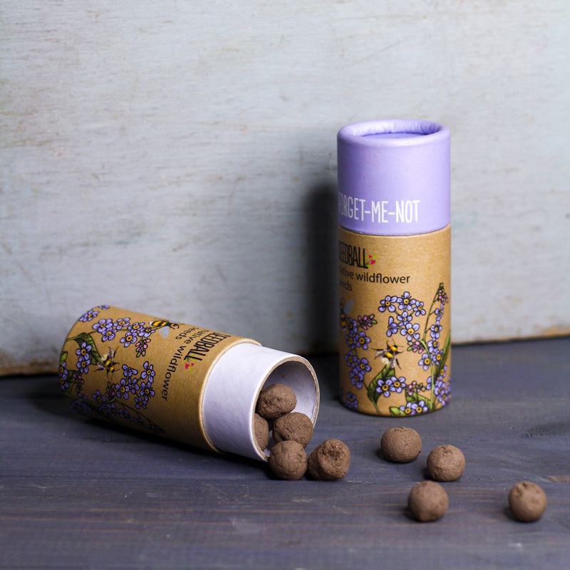 Forget-Me-Not- Wildflower Seedball Tube
