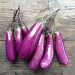 Eggplant Slim Jim Seeds