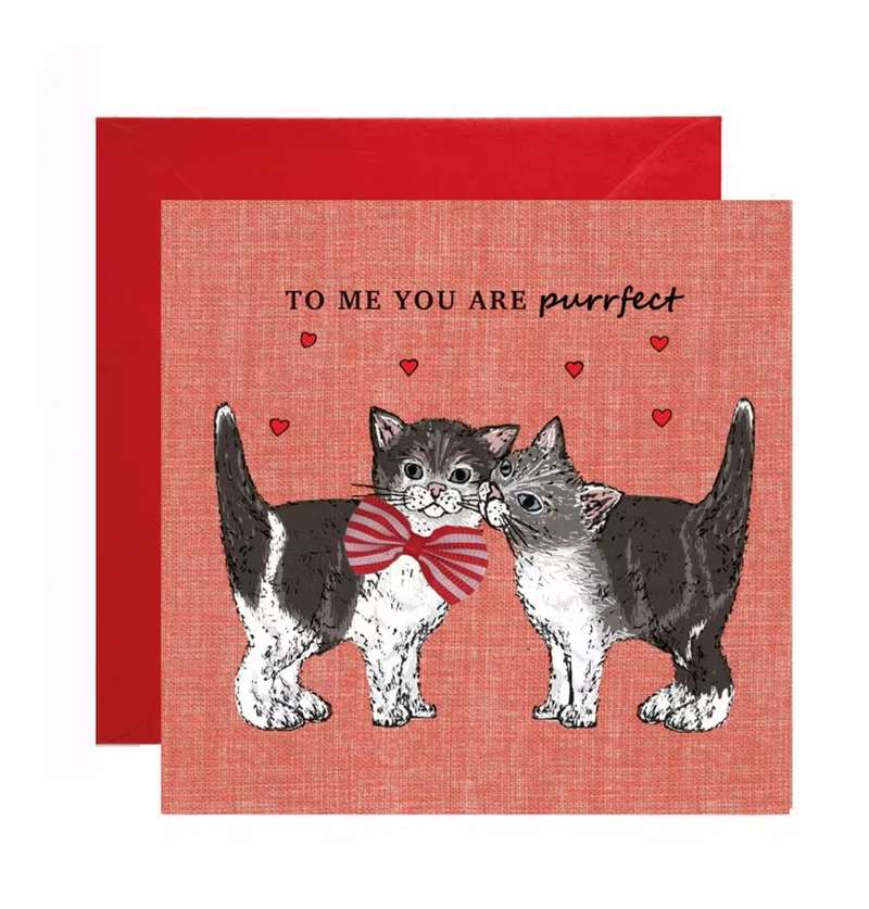 You Are Purrfect Card