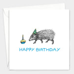 Pygmy Hog Birthday Card