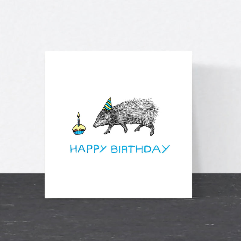 Pygmy Hog Birthday Card